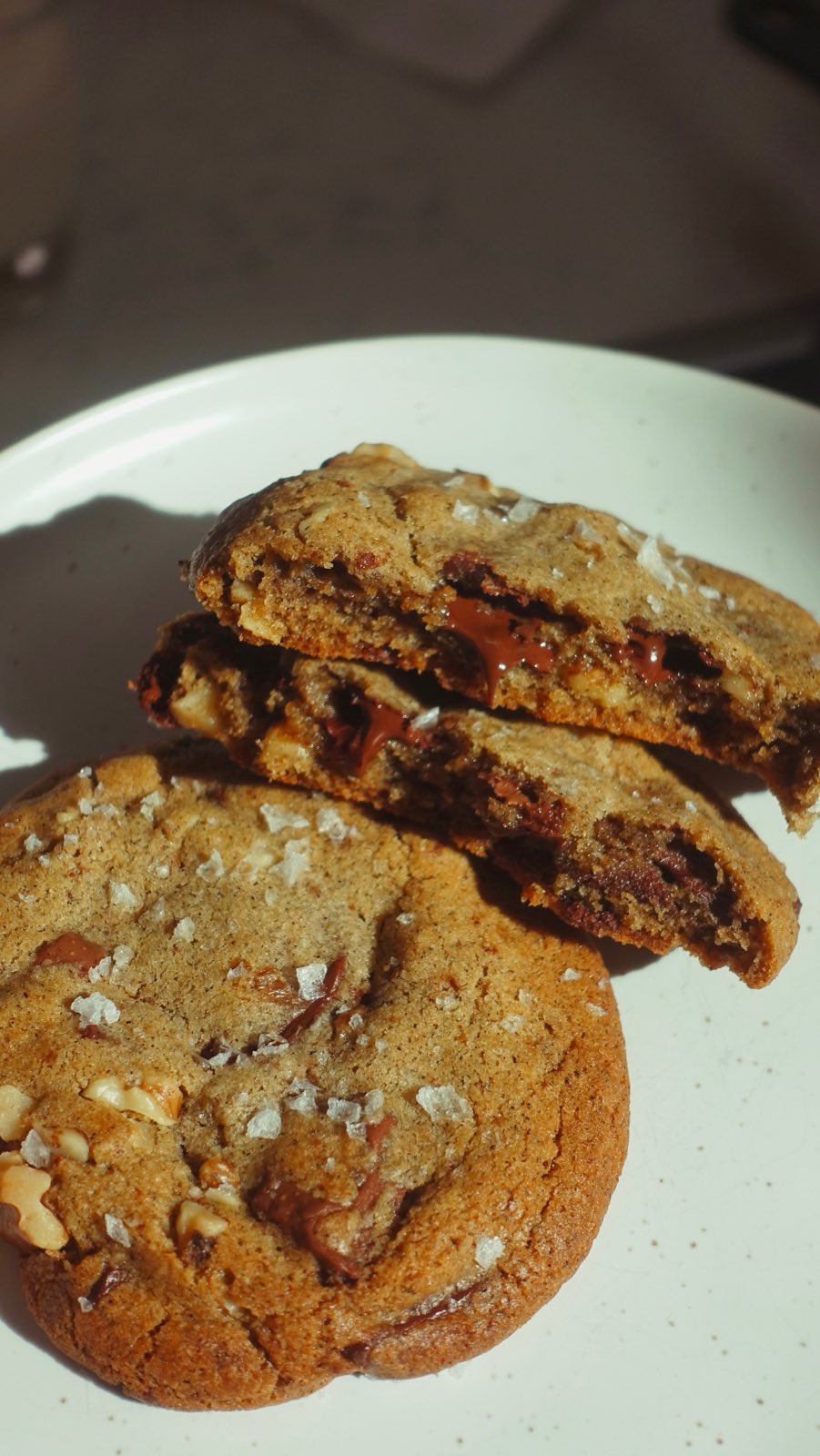 walnut dark choco chip cookies